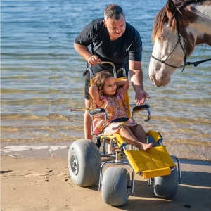 Sandpiper® All Terrain/Beach Wheelchair